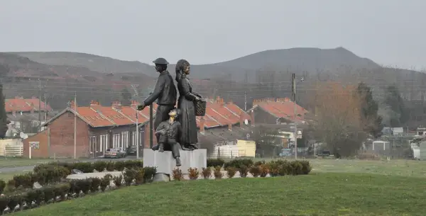 Aide Monte Escalier Monte escalier Auchel