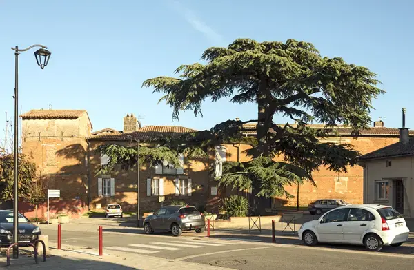 Aide Monte Escalier Monte escalier Aussonne