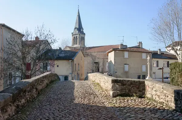 Aide Monte Escalier Monte escalier Brignais