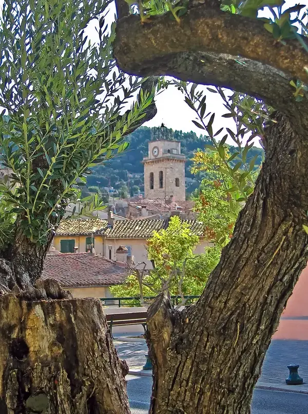 Aide Monte Escalier Monte escalier Ceyreste