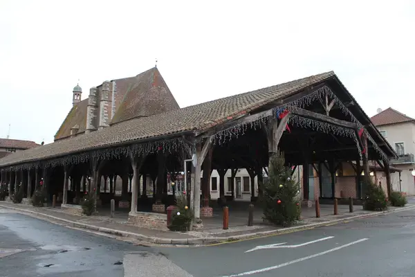Aide Monte Escalier Monte escalier Châtillon-sur-Chalaronne