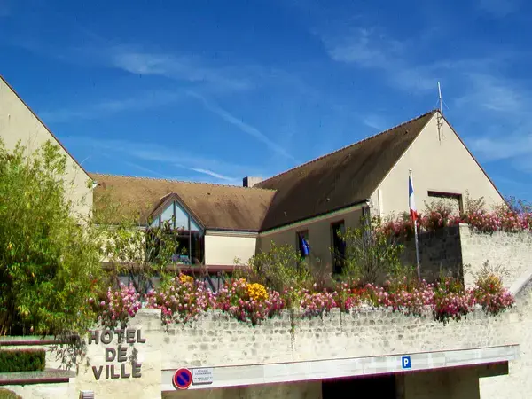 Aide Monte Escalier Monte escalier Courdimanche