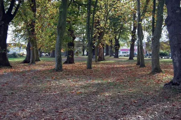 Aide Monte Escalier Monte escalier Idron