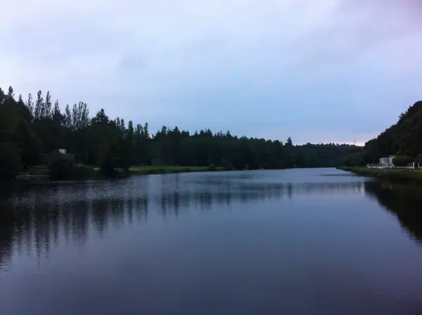 Aide Monte Escalier Monte escalier Inzinzac-Lochrist