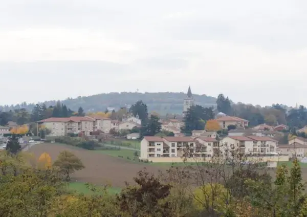 Aide Monte Escalier Monte escalier Lentilly