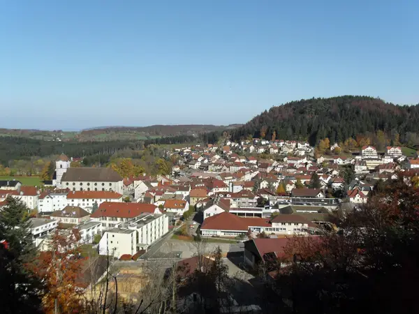 Aide Monte Escalier Monte escalier Maîche
