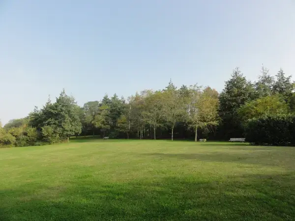 Aide Monte Escalier Monte escalier Montigny-en-Gohelle