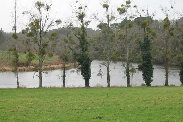 Aide Monte Escalier Monte escalier Muzillac