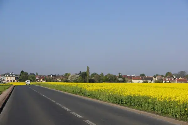 Aide Monte Escalier Monte escalier Noiseau