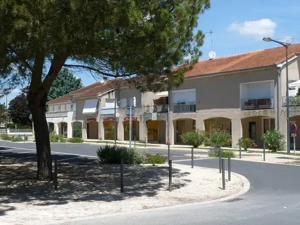 Aide Monte Escalier Monte escalier Pineuilh