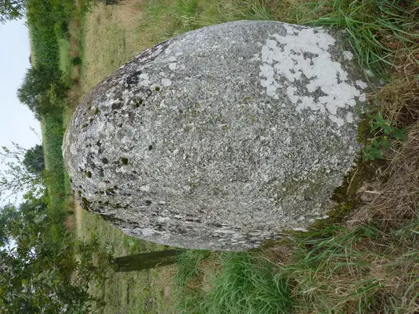 Aide Monte Escalier Monte escalier Plaintel