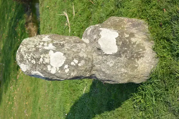 Aide Monte Escalier Monte escalier Prinquiau