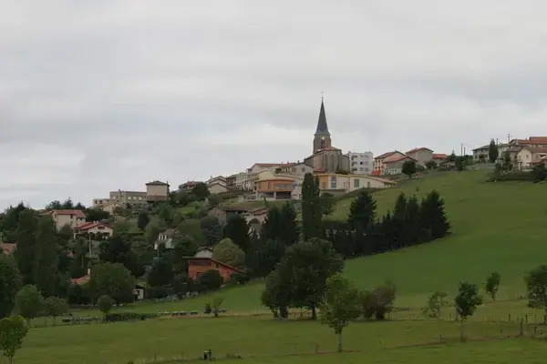 Aide Monte Escalier Monte escalier Saint-Christo-en-Jarez