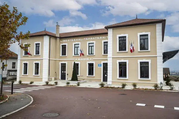 Aide Monte Escalier Monte escalier Satolas-et-Bonce