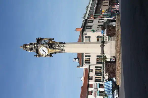 Aide Monte Escalier Monte escalier Tassin-la-Demi-Lune