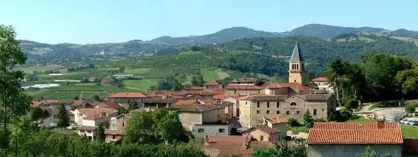Aide Monte Escalier Monte escalier Thurins