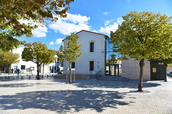 Aide Monte Escalier Monte escalier Vic-la-Gardiole